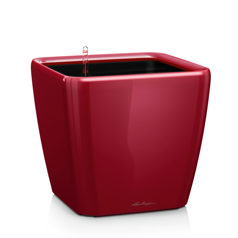 QUADRO LS 28 scarlet red high-gloss